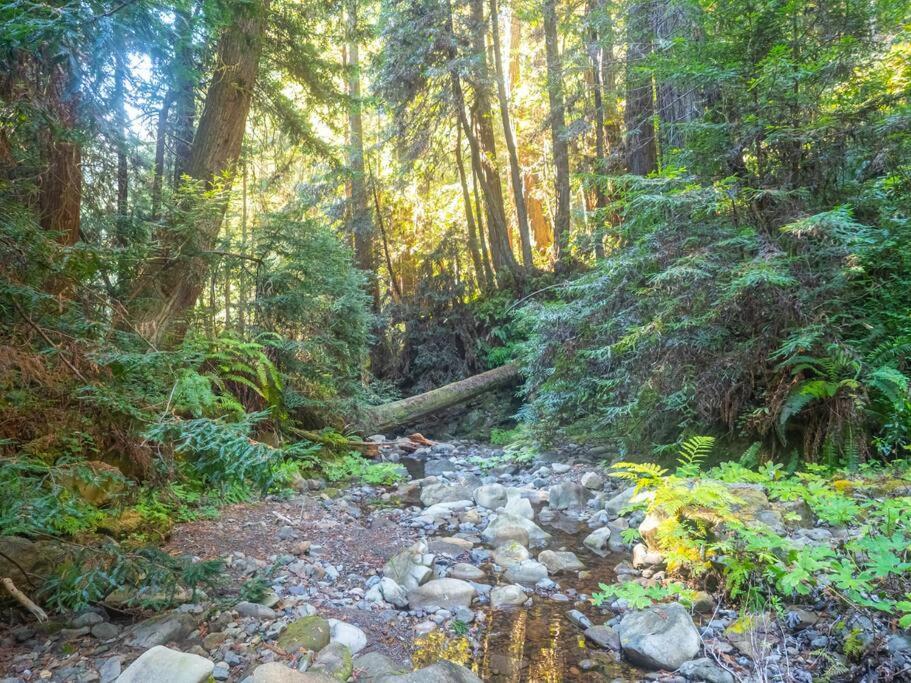 Driftwood Lodge ~ 5 Bedroom / 7 Bath ~ 30-Acre Private Estate On Hwy 1 ~ Hot Tub ~ Oceanview ~ Reunions & Retreats Walsh Landing Экстерьер фото