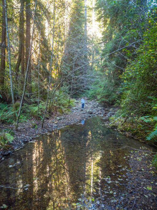 Driftwood Lodge ~ 5 Bedroom / 7 Bath ~ 30-Acre Private Estate On Hwy 1 ~ Hot Tub ~ Oceanview ~ Reunions & Retreats Walsh Landing Экстерьер фото